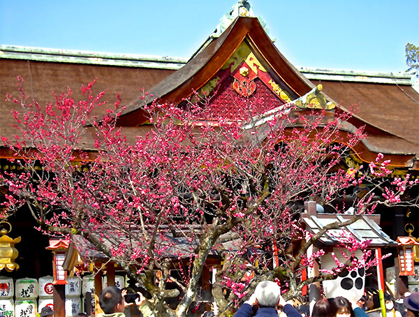 Kitano temman-gu Shrine 北野天満宮