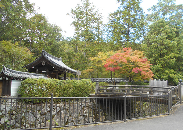 Saiho-ji(Kokedera)Temple（西芳寺・苔寺）