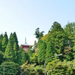 Enryaku-ji Temple(延暦寺)
