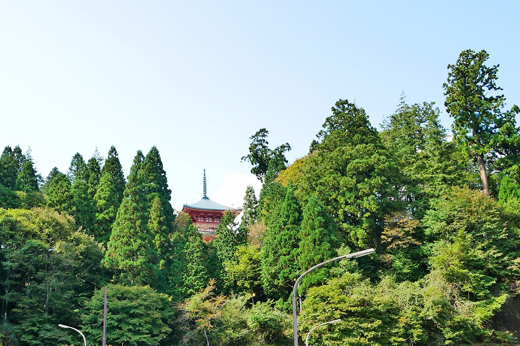 Enryaku-ji Temple（延暦寺）