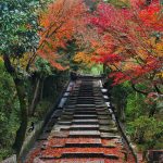 Koudai-ji Temple（高台寺）