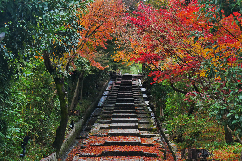 Koudai-ji Temple（高台寺）