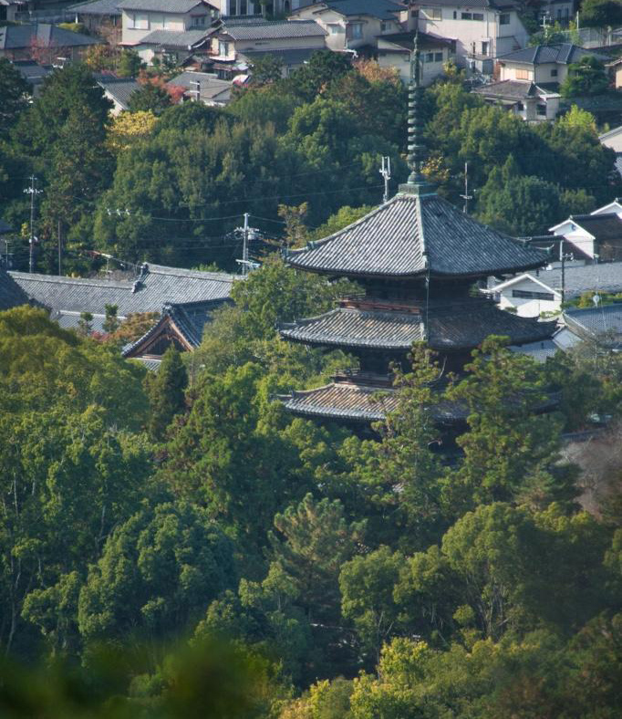 Ninnaji Temple（仁和寺）